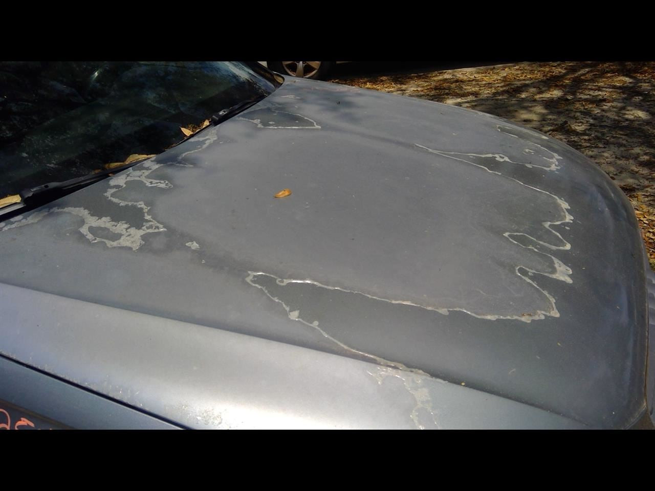 Crossmember/K-Frame Rear FWD Fits 09-12 AUDI A4 1120225