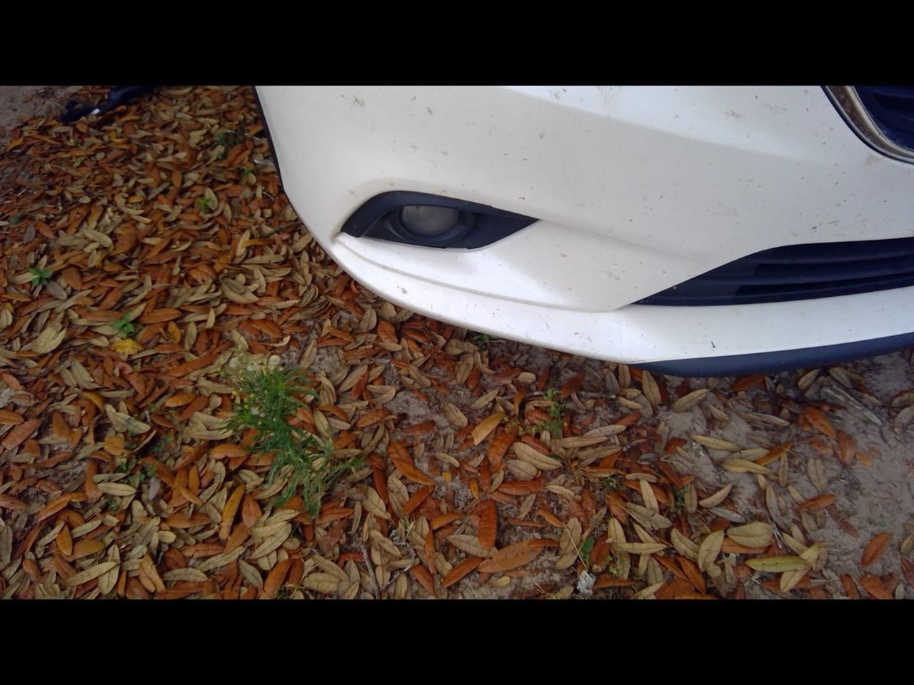 Automatic Transmission 2.5L I-eloop Fits 14-15 MAZDA 6 1125428