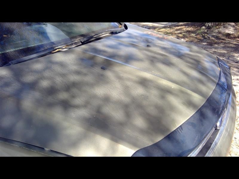 Passenger Sun Visor Without Sunroof With Illumination Fits 13-19 ESCAPE 1084734