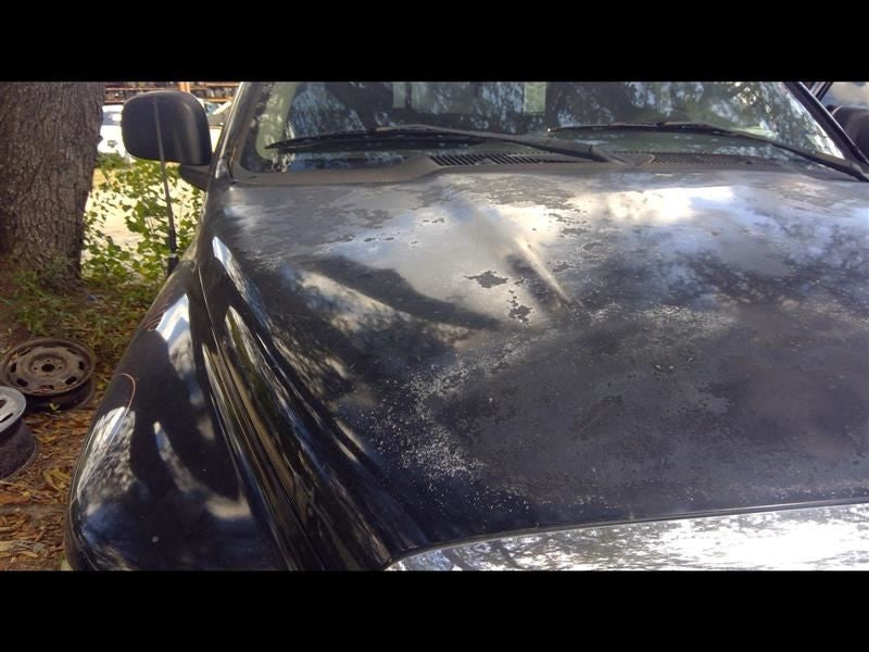 Driver Front Window Regulator Chassis Cab Fits 03-10 DODGE 3500 PICKUP 1068413