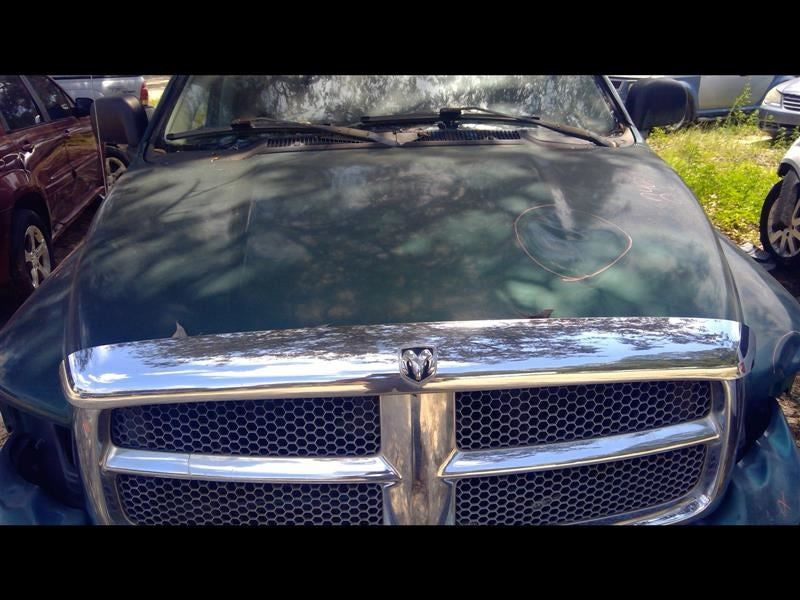 Passenger Corner/Park Light Fog-driving Fits 03-10 DODGE 3500 PICKUP 1067711