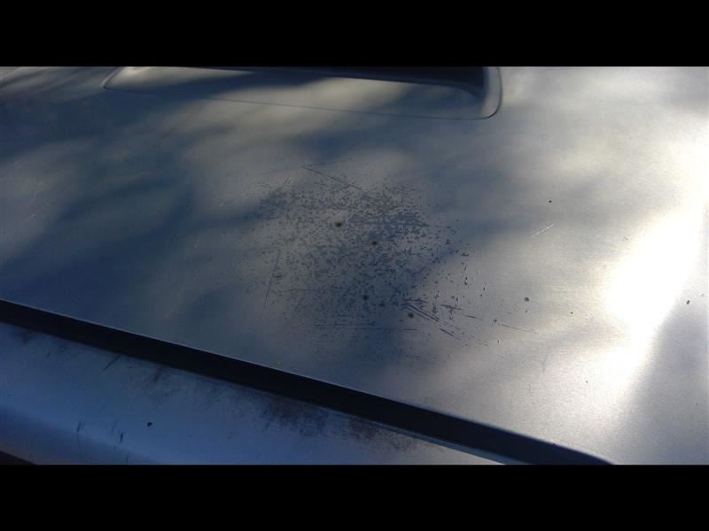Driver Sun Visor Extended Cab Base 6 Cylinder Fits 05-11 TACOMA 1067382