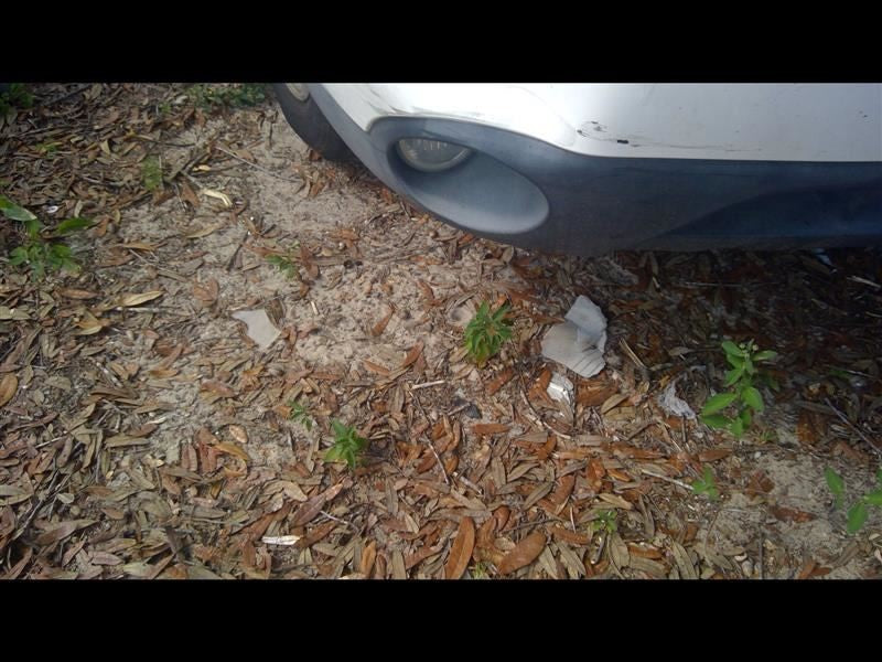 FREESTAR 2005 Rear View Mirror 1066023