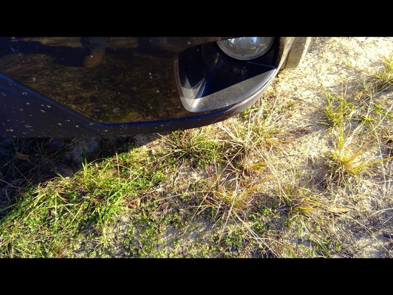 Corner/Park Light Fog-driving Bumper Mounted Fits 02-07 RENDEZVOUS 1094542