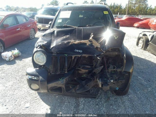 LIBERTY 2002 Alternator 743410