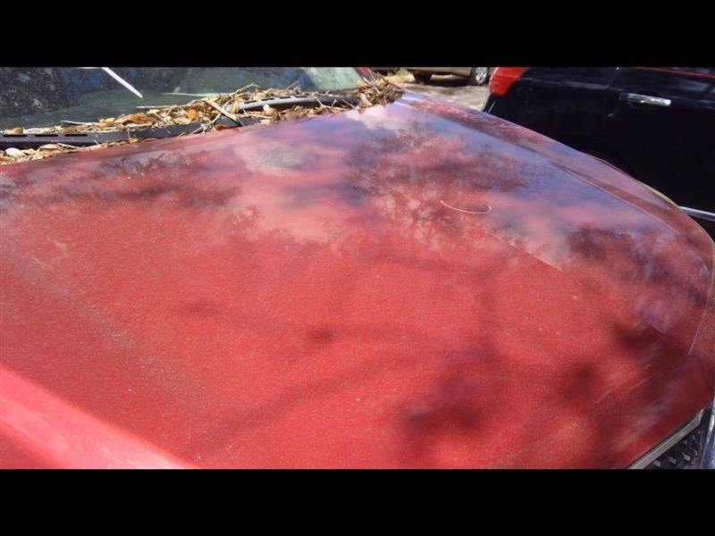 Passenger Right Lower Control Arm Front Fits 10-17 EQUINOX 1075346