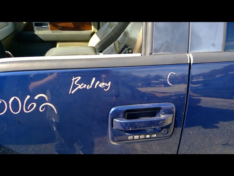 Door Handle Exterior Tailgate Painted Bezel Fits 07-14 FORD F150 PICKUP 1013046