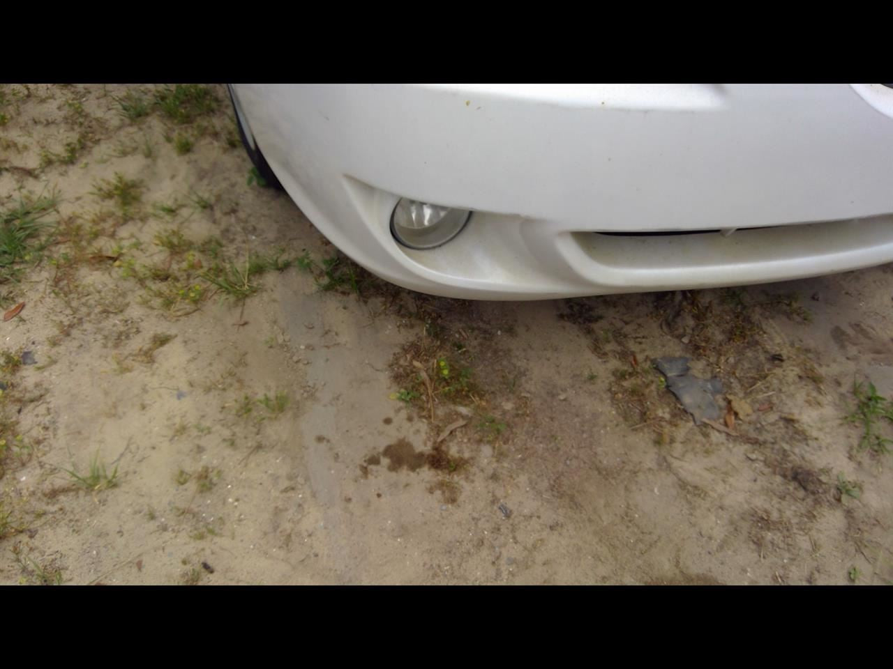 SOLARA 2005 Rocker Panel Moulding DRIVER SIDE MOLDING 1118232