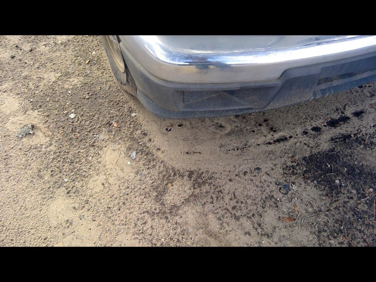 Driver Front Door Switch Driver's Lock And Window Fits 04-12 CANYON 1105858
