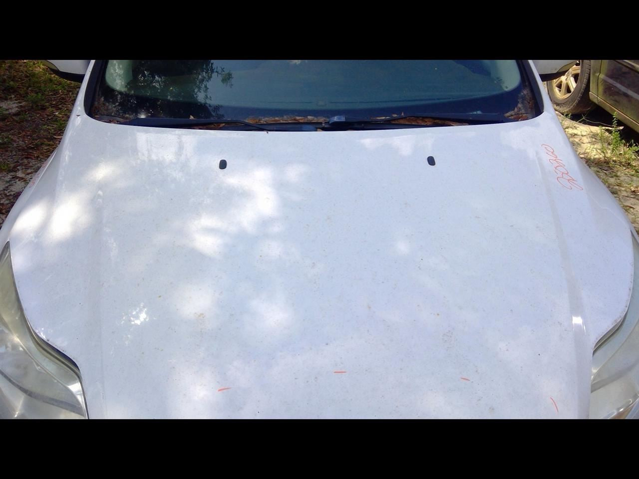 FOCUS 2012 Rocker Panel Moulding DRIVER SIDE MOLDING 1124290