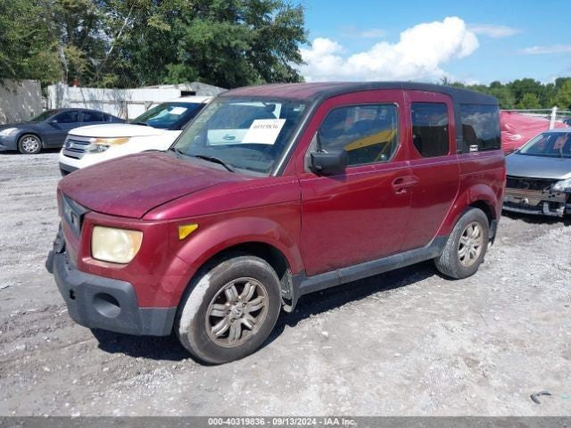 Passenger Right Rear Side Door Fits 03-06 ELEMENT 1078098