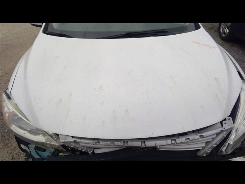 Driver Left Strut Front Fits 13-19 SENTRA 1035321