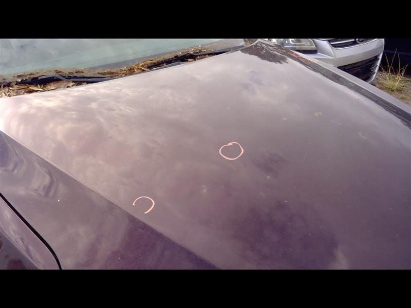 OPTIMAKIA 2013 Antenna 1086150