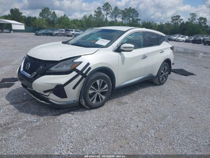 Passenger Right Front Door Fits 15-23 MURANO 1131662