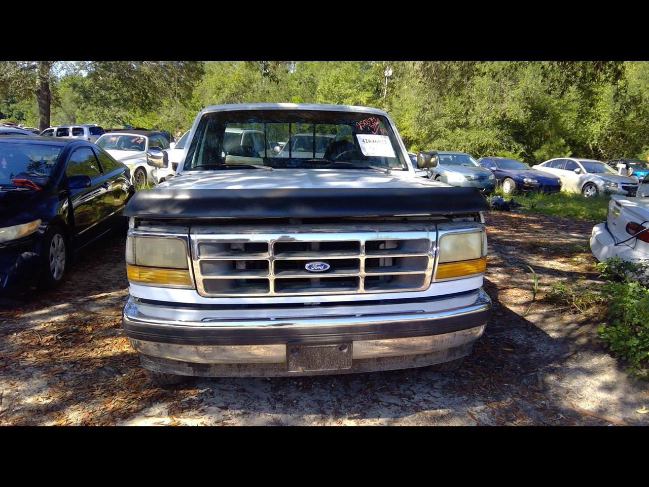 Passenger Corner/Park Light Side Marker Fits 92-97 FORD F250 PICKUP 1136227
