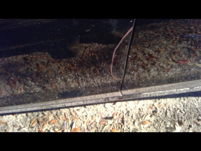 Driver Front Door Switch Driver's Mirror And Window Fits 13-20 FUSION 1019395