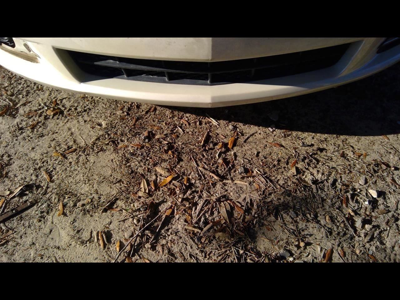 Driver Left Front Spindle/Knuckle Fits 14-20 IMPALA 1089142