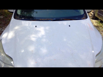 FOCUS     2012 Rocker Panel Moulding DRIVER  SIDE MOLDING 1124290