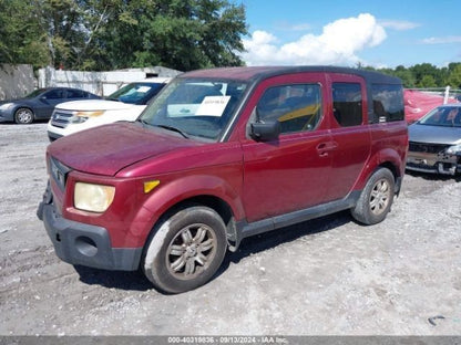 Passenger Right Rear Side Door Fits 03-06 ELEMENT 1078098
